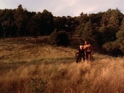 extant_HerculesAndTheLostKingdom_6242
