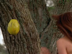 extant_HerculesTheLegendaryJourneys_1x06-AsDarknessFalls_0298