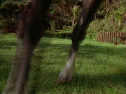 extant_HerculesTheLegendaryJourneys_1x06-AsDarknessFalls_2222