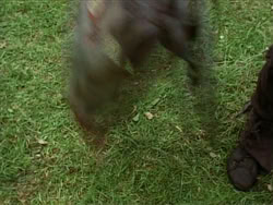 extant_HerculesTheLegendaryJourneys_1x06-AsDarknessFalls_2339