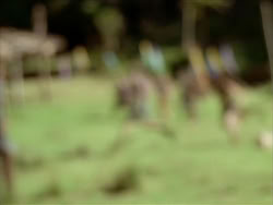 extant_HerculesTheLegendaryJourneys_1x06-AsDarknessFalls_2536