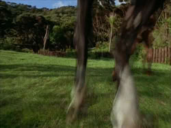 extant_HerculesTheLegendaryJourneys_1x06-AsDarknessFalls_2571
