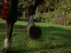 extant_HerculesTheLegendaryJourneys_1x06-AsDarknessFalls_2573