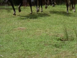 extant_HerculesTheLegendaryJourneys_1x06-AsDarknessFalls_2599