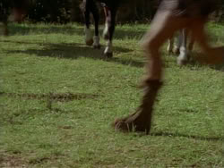 extant_HerculesTheLegendaryJourneys_1x06-AsDarknessFalls_2651