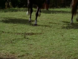 extant_HerculesTheLegendaryJourneys_1x06-AsDarknessFalls_2652
