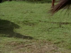 extant_HerculesTheLegendaryJourneys_1x06-AsDarknessFalls_2655