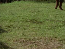 extant_HerculesTheLegendaryJourneys_1x06-AsDarknessFalls_2656