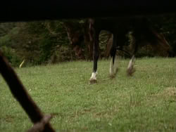 extant_HerculesTheLegendaryJourneys_1x06-AsDarknessFalls_2696