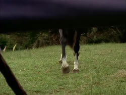 extant_HerculesTheLegendaryJourneys_1x06-AsDarknessFalls_2697