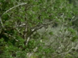 extant_HerculesTheLegendaryJourneys_1x06-AsDarknessFalls_2752