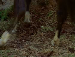 extant_HerculesTheLegendaryJourneys_1x06-AsDarknessFalls_2756