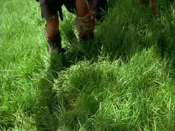 extant_HerculesTheLegendaryJourneys_1x06-AsDarknessFalls_2963