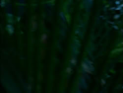 extant_HerculesTheLegendaryJourneys_1x06-AsDarknessFalls_3913