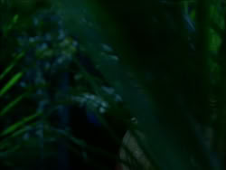 extant_HerculesTheLegendaryJourneys_1x06-AsDarknessFalls_3914