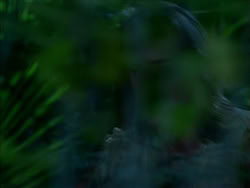extant_HerculesTheLegendaryJourneys_1x06-AsDarknessFalls_3917