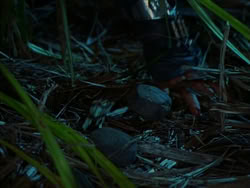 extant_HerculesTheLegendaryJourneys_1x06-AsDarknessFalls_3986
