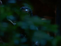 extant_HerculesTheLegendaryJourneys_1x06-AsDarknessFalls_4018