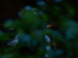 extant_HerculesTheLegendaryJourneys_1x06-AsDarknessFalls_4019