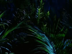extant_HerculesTheLegendaryJourneys_1x06-AsDarknessFalls_4027