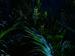 extant_HerculesTheLegendaryJourneys_1x06-AsDarknessFalls_4028