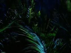 extant_HerculesTheLegendaryJourneys_1x06-AsDarknessFalls_4029