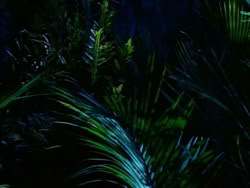 extant_HerculesTheLegendaryJourneys_1x06-AsDarknessFalls_4030