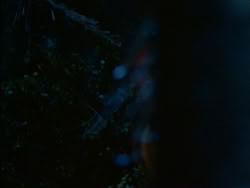 extant_HerculesTheLegendaryJourneys_1x06-AsDarknessFalls_4052