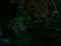 extant_HerculesTheLegendaryJourneys_1x06-AsDarknessFalls_4076
