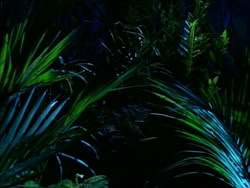 extant_HerculesTheLegendaryJourneys_1x06-AsDarknessFalls_4106