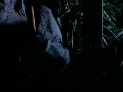 extant_HerculesTheLegendaryJourneys_1x06-AsDarknessFalls_4207