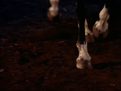 extant_HerculesTheLegendaryJourneys_1x06-AsDarknessFalls_4382