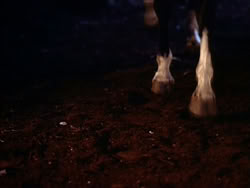 extant_HerculesTheLegendaryJourneys_1x06-AsDarknessFalls_4408