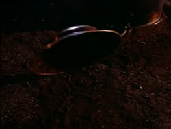 extant_HerculesTheLegendaryJourneys_1x06-AsDarknessFalls_4424