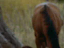 extant_HTLJ_1x09-TheWarriorPrincess_0247