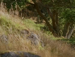 extant_HTLJ_1x09-TheWarriorPrincess_0377