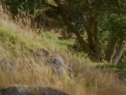 extant_HTLJ_1x09-TheWarriorPrincess_0378
