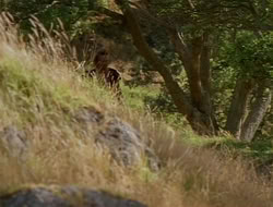 extant_HTLJ_1x09-TheWarriorPrincess_0379