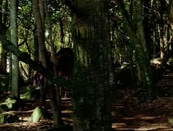 extant_HTLJ_1x09-TheWarriorPrincess_1359