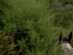 extant_HTLJ_1x09-TheWarriorPrincess_2979