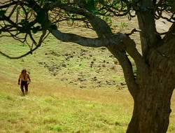 extant_HTLJ_1x09-TheWarriorPrincess_3160