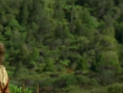 extant_HTLJ_1x09-TheWarriorPrincess_3227