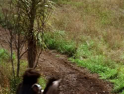 extant_HTLJ_1x09-TheWarriorPrincess_3610