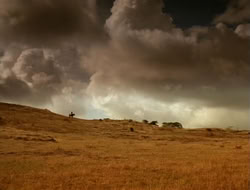 extant_HTLJ_1x12-TheGauntlet_00003