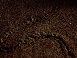 extant_HTLJ_1x12-TheGauntlet_00186