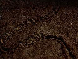 extant_HTLJ_1x12-TheGauntlet_00187