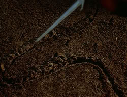 extant_HTLJ_1x12-TheGauntlet_00195