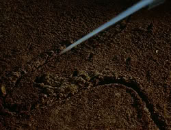 extant_HTLJ_1x12-TheGauntlet_00199