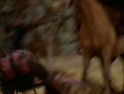 extant_HTLJ_1x12-TheGauntlet_00271