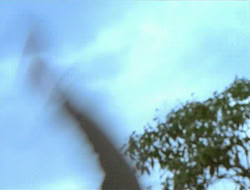 extant_HTLJ_1x12-TheGauntlet_00357